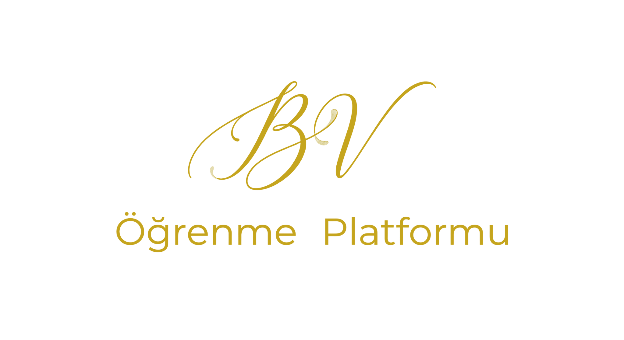 BV Platform Logo